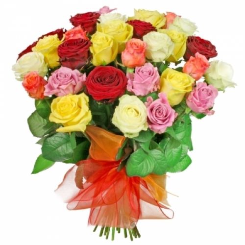 35 разноцветных роз с доставкой по Иланскому