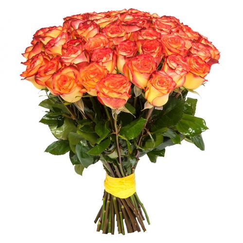 Купить 41-ну оранжевую розу с доставкой по Иланскому