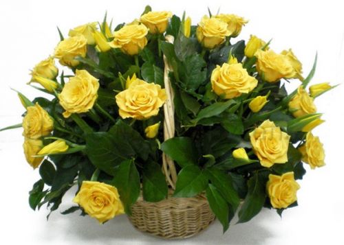 Купить корзину желтых роз с доставкой по Иланскому