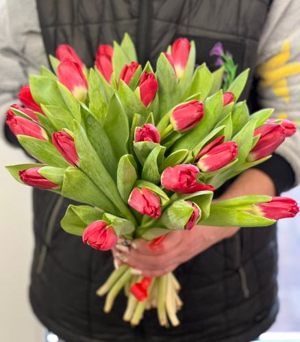 Купить букет из красных тюльпанов "Сабрина" с доставкой по Иланскому